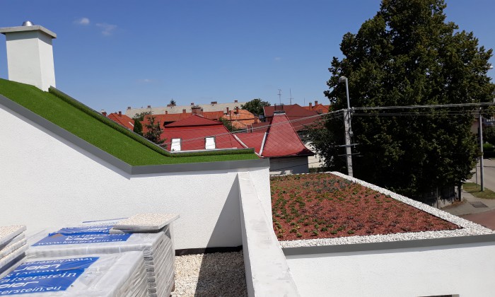 Veszprém - Zölddel keretezve alul-felül