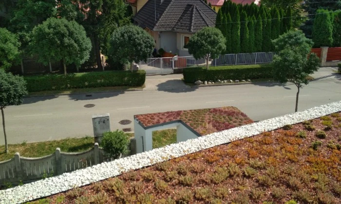Veszprém - Zölddel keretezve alul-felül