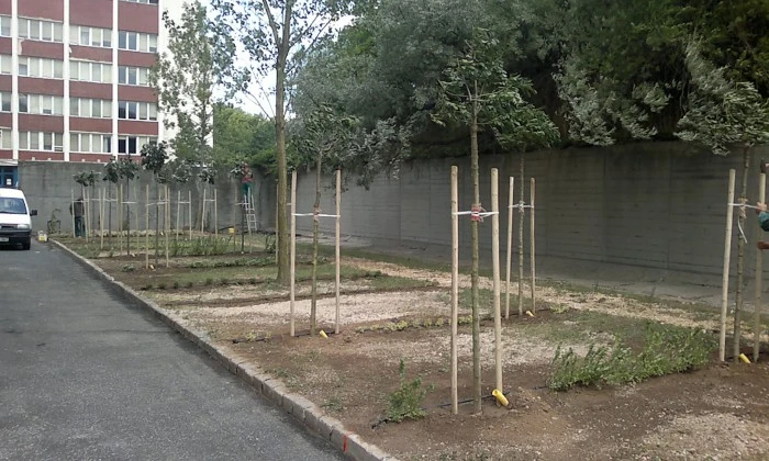 Veszprém, Pannon Egyetem - Parkoló zöldítése