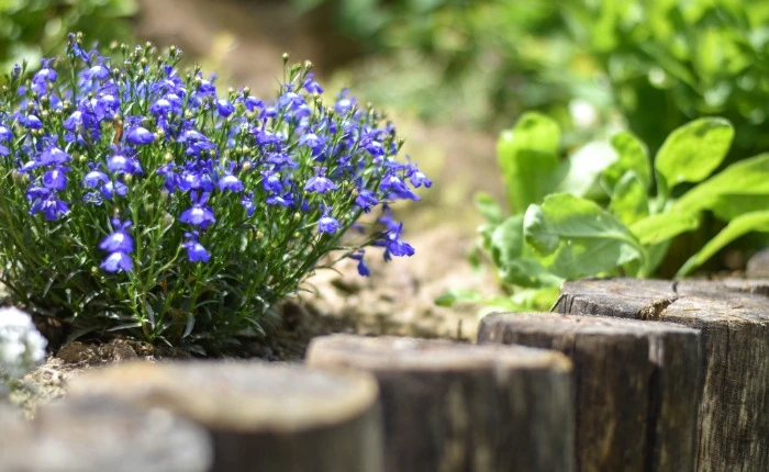 Kertek a tervezéstől a kivitelezésig! Kérj ajánlatot most!